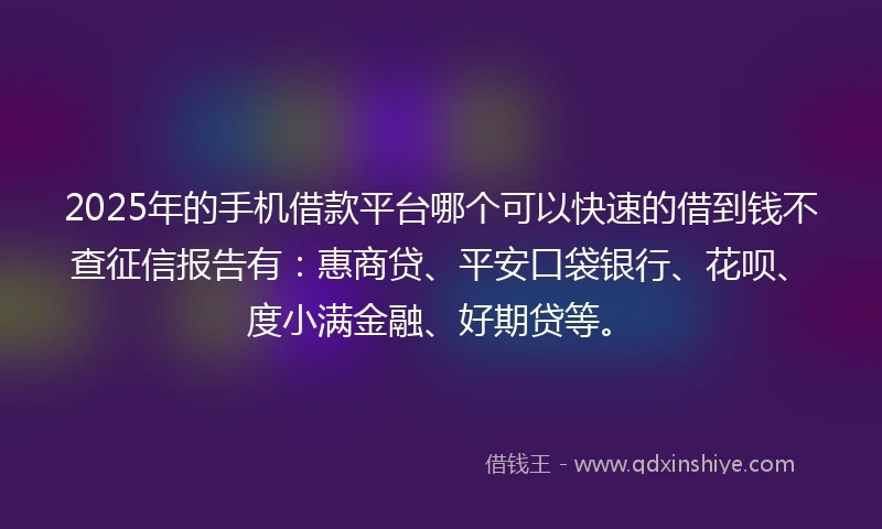 2025年的手机借款平台哪个可以快速的借到钱不查征信报告有：惠商贷、平安口袋银行、花呗、度小满金融、好期贷等。