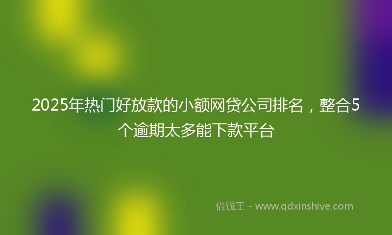 2025年热门好放款的小额网贷公司排名，整合5个逾期太多能下款平台