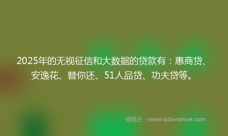 2025年的无视征信和大数据的贷款有：惠商贷、安逸花、替你还、51人品贷、功夫贷等。
