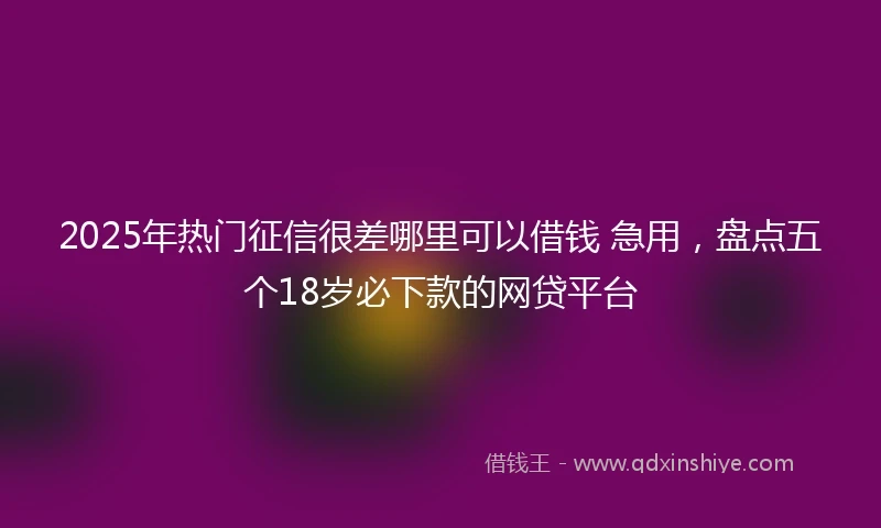 2025年热门征信很差哪里可以借钱 急用，盘点五个18岁必下款的网贷平台