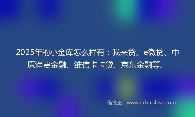 2025年的小金库怎么样有：我来贷、e微贷、中原消费金融、维信卡卡贷、京东金融等。