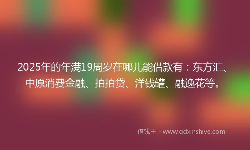 2025年的年满19周岁在哪儿能借款有：东方汇、中原消费金融、拍拍贷、洋钱罐、融逸花等。
