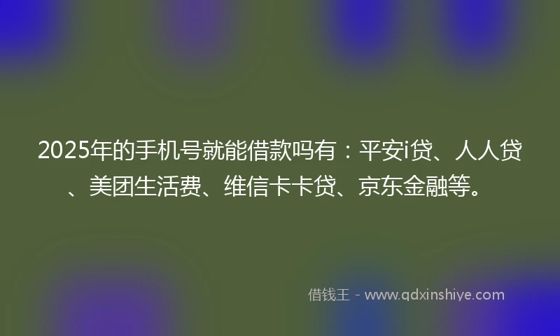 2025年的手机号就能借款吗有：平安i贷、人人贷、美团生活费、维信卡卡贷、京东金融等。