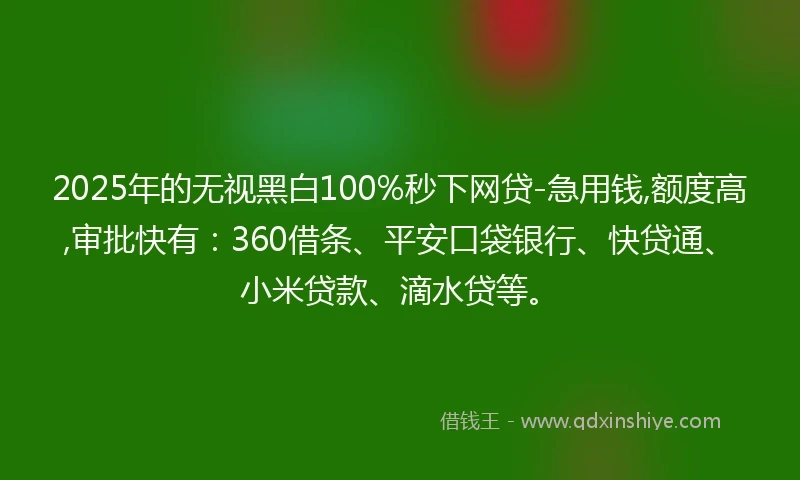 2025年的无视黑白100%秒下网贷-急用钱,额度高,审批快有：360借条、平安口袋银行、快贷通、小米贷款、滴水贷等。