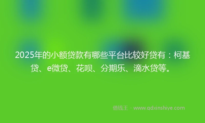 2025年的小额贷款有哪些平台比较好贷有：柯基贷、e微贷、花呗、分期乐、滴水贷等。