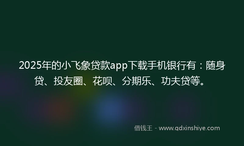 2025年的小飞象贷款app下载手机银行有：随身贷、投友圈、花呗、分期乐、功夫贷等。