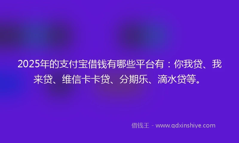 2025年的支付宝借钱有哪些平台有：你我贷、我来贷、维信卡卡贷、分期乐、滴水贷等。