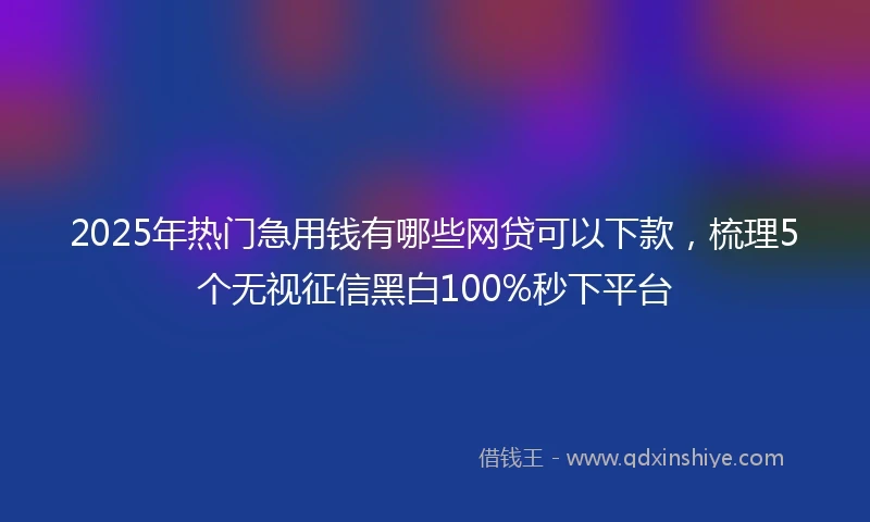 2025年热门急用钱有哪些网贷可以下款，梳理5个无视征信黑白100%秒下平台