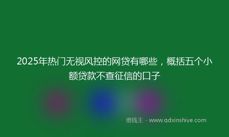 2025年热门无视风控的网贷有哪些，概括五个小额贷款不查征信的口子