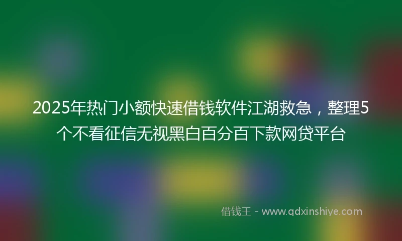2025年热门小额快速借钱软件江湖救急，整理5个不看征信无视黑白百分百下款网贷平台
