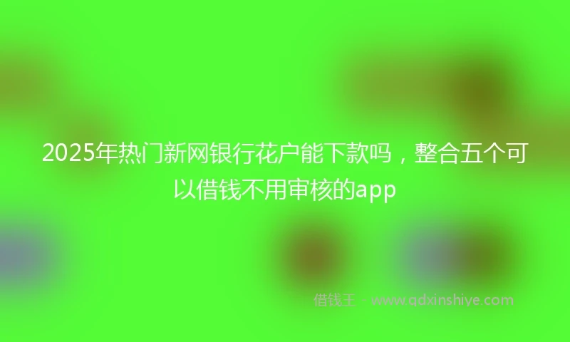 2025年热门新网银行花户能下款吗，整合五个可以借钱不用审核的app