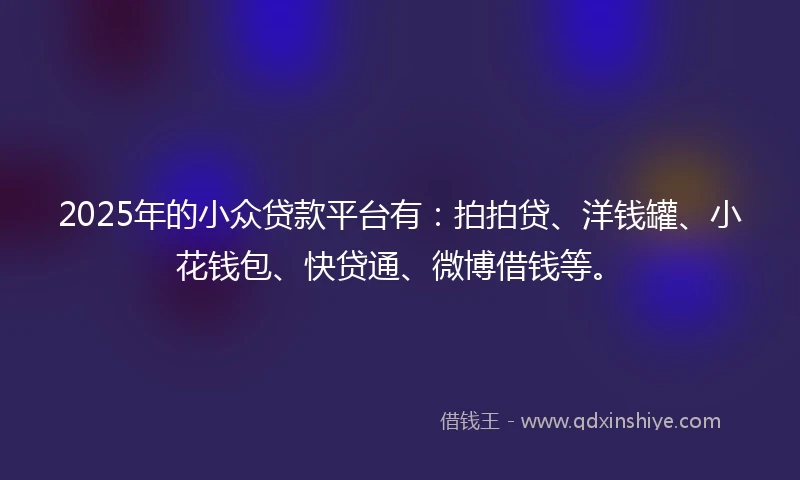 2025年的小众贷款平台有：拍拍贷、洋钱罐、小花钱包、快贷通、微博借钱等。
