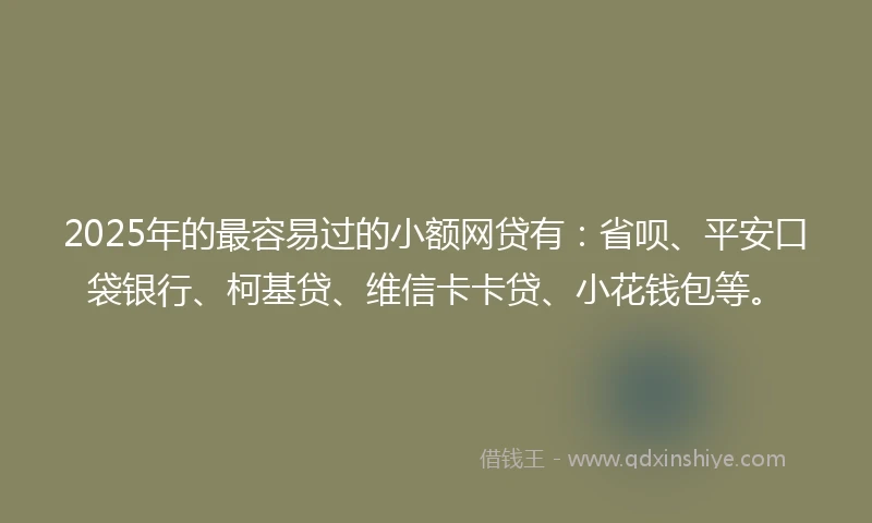2025年的最容易过的小额网贷有：省呗、平安口袋银行、柯基贷、维信卡卡贷、小花钱包等。