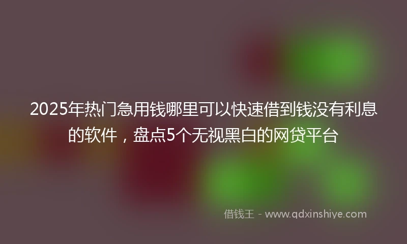 2025年热门急用钱哪里可以快速借到钱没有利息的软件，盘点5个无视黑白的网贷平台