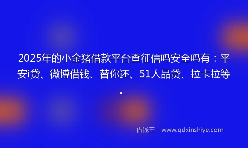 2025年的小金猪借款平台查征信吗安全吗有：平安i贷、微博借钱、替你还、51人品贷、拉卡拉等。