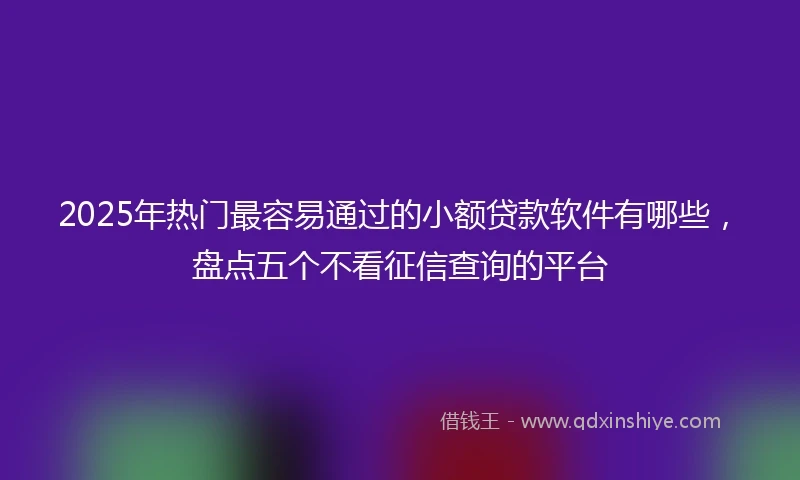 2025年热门最容易通过的小额贷款软件有哪些，盘点五个不看征信查询的平台