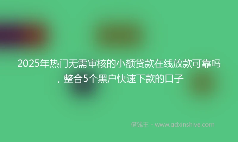 2025年热门无需审核的小额贷款在线放款可靠吗，整合5个黑户快速下款的口子