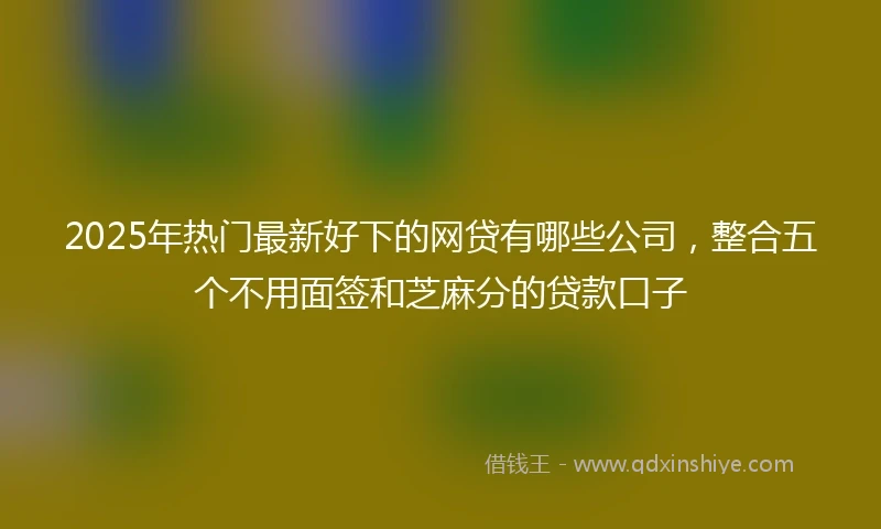 2025年热门最新好下的网贷有哪些公司，整合五个不用面签和芝麻分的贷款口子