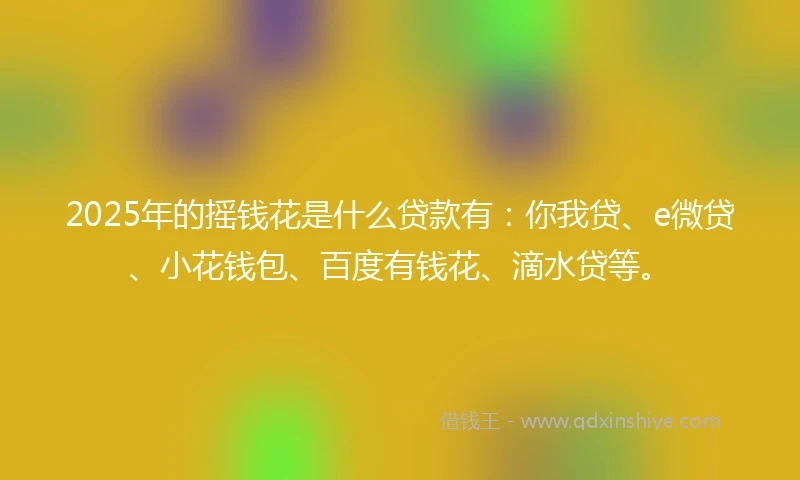 2025年的摇钱花是什么贷款有：你我贷、e微贷、小花钱包、百度有钱花、滴水贷等。