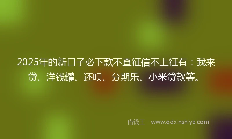2025年的新口子必下款不查征信不上征有：我来贷、洋钱罐、还呗、分期乐、小米贷款等。