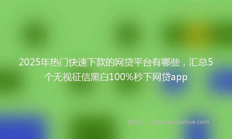 2025年热门快速下款的网贷平台有哪些，汇总5个无视征信黑白100%秒下网贷app