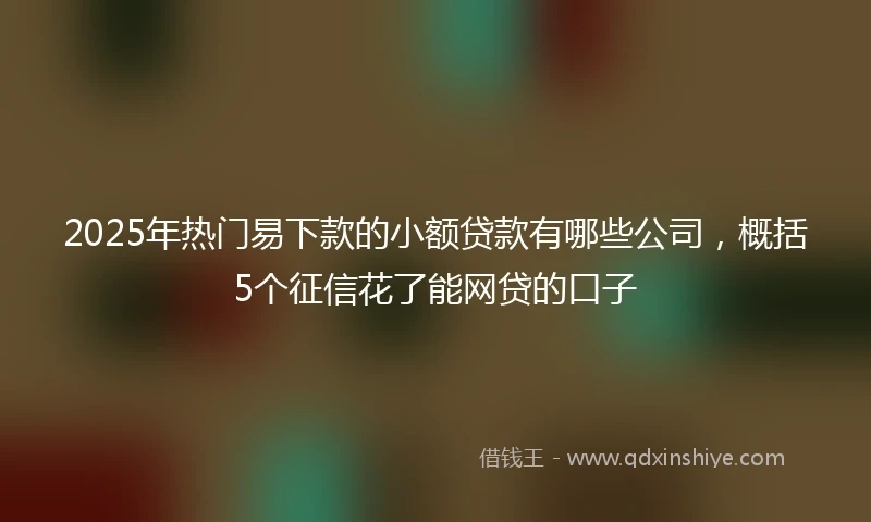 2025年热门易下款的小额贷款有哪些公司，概括5个征信花了能网贷的口子