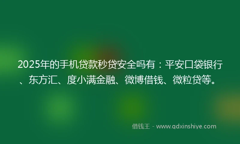 2025年的手机贷款秒贷安全吗有：平安口袋银行、东方汇、度小满金融、微博借钱、微粒贷等。