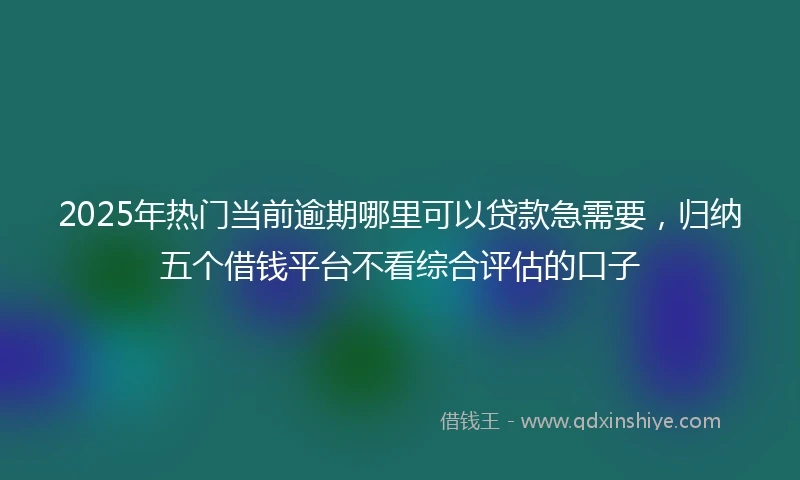 2025年热门当前逾期哪里可以贷款急需要，归纳五个借钱平台不看综合评估的口子
