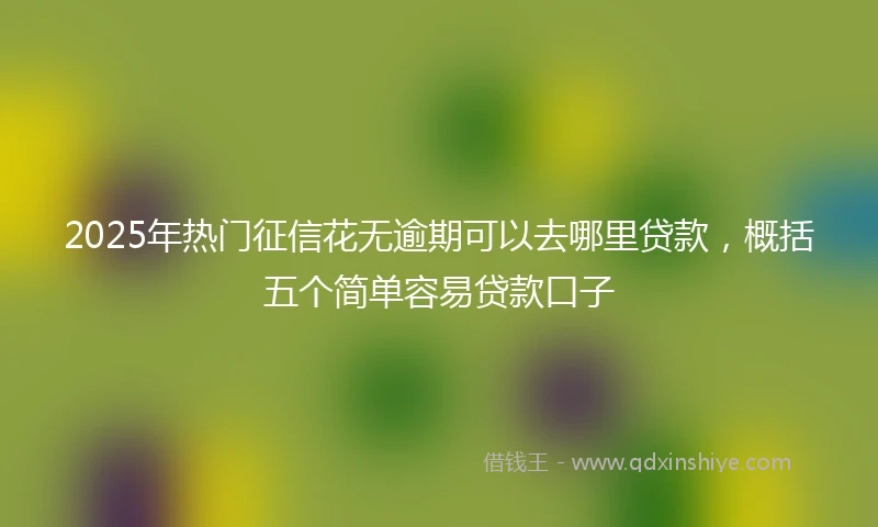 2025年热门征信花无逾期可以去哪里贷款，概括五个简单容易贷款口子