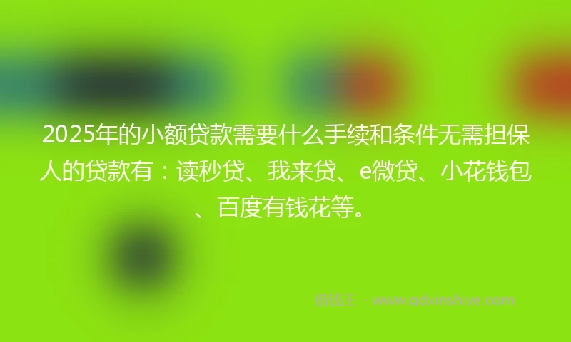 2025年的小额贷款需要什么手续和条件无需担保人的贷款有：读秒贷、我来贷、e微贷、小花钱包、百度有钱花等。