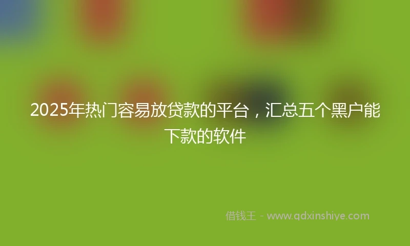 2025年热门容易放贷款的平台，汇总五个黑户能下款的软件