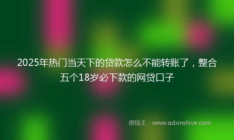 2025年热门当天下的贷款怎么不能转账了，整合五个18岁必下款的网贷口子