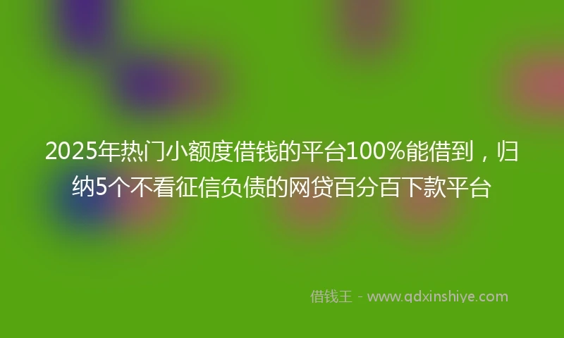 2025年热门小额度借钱的平台100%能借到，归纳5个不看征信负债的网贷百分百下款平台