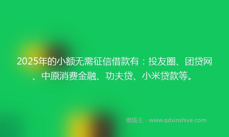 2025年的小额无需征信借款有：投友圈、团贷网、中原消费金融、功夫贷、小米贷款等。