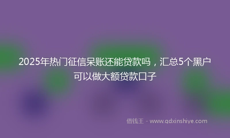 2025年热门征信呆账还能贷款吗，汇总5个黑户可以做大额贷款口子