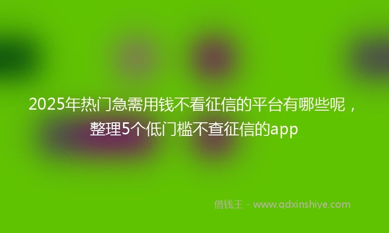 2025年热门急需用钱不看征信的平台有哪些呢，整理5个低门槛不查征信的app