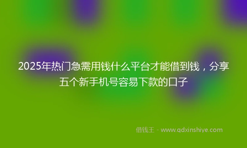 2025年热门急需用钱什么平台才能借到钱，分享五个新手机号容易下款的口子