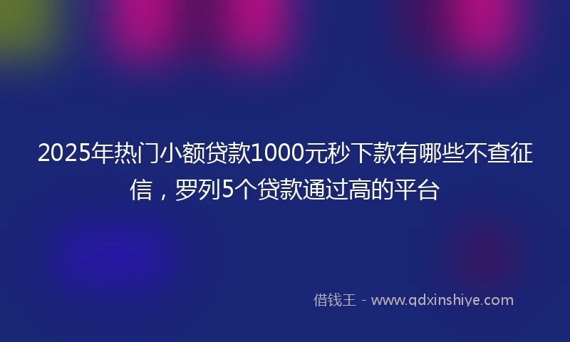 2025年热门小额贷款1000元秒下款有哪些不查征信，罗列5个贷款通过高的平台
