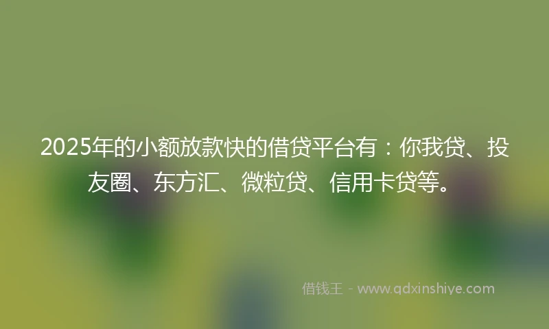 2025年的小额放款快的借贷平台有：你我贷、投友圈、东方汇、微粒贷、信用卡贷等。