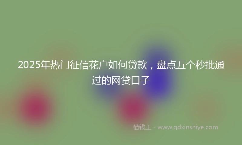 2025年热门征信花户如何贷款，盘点五个秒批通过的网贷口子