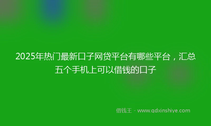 2025年热门最新口子网贷平台有哪些平台，汇总五个手机上可以借钱的口子
