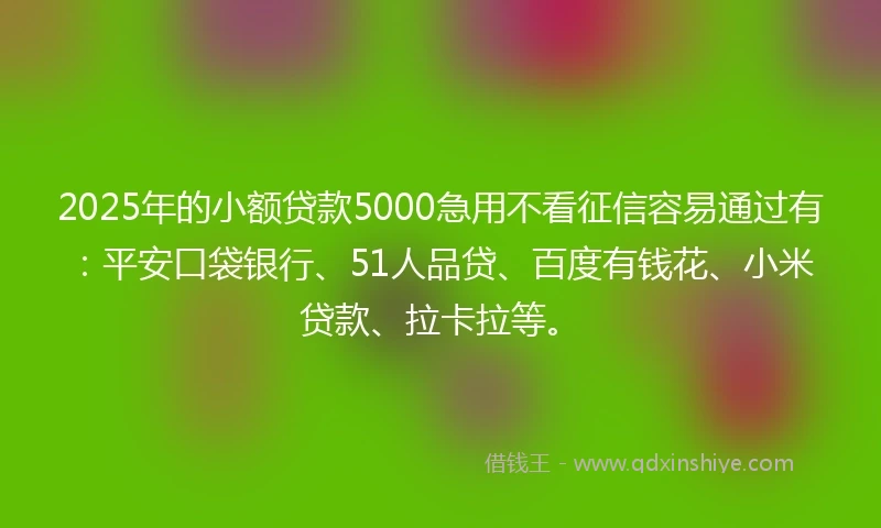2025年的小额贷款5000急用不看征信容易通过有:平安口袋银行、51人品贷、百度有钱花、小米贷款、拉卡拉等。