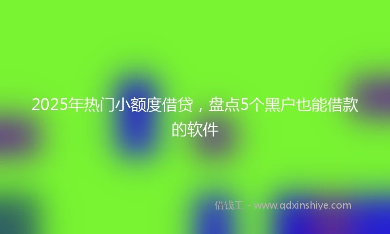 2025年热门小额度借贷，盘点5个黑户也能借款的软件