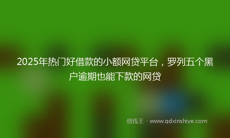 2025年热门好借款的小额网贷平台，罗列五个黑户逾期也能下款的网贷