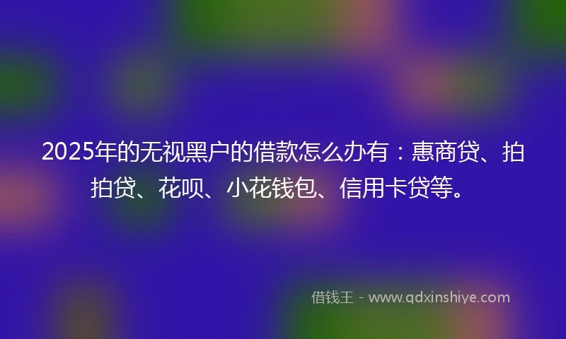 2025年的无视黑户的借款怎么办有：惠商贷、拍拍贷、花呗、小花钱包、信用卡贷等。