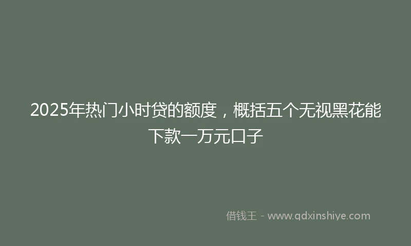 2025年热门小时贷的额度，概括五个无视黑花能下款一万元口子