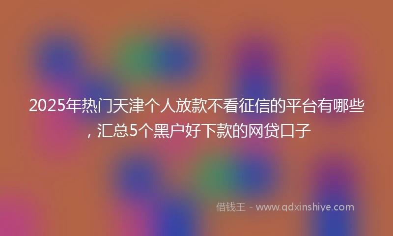 2025年热门天津个人放款不看征信的平台有哪些，汇总5个黑户好下款的网贷口子