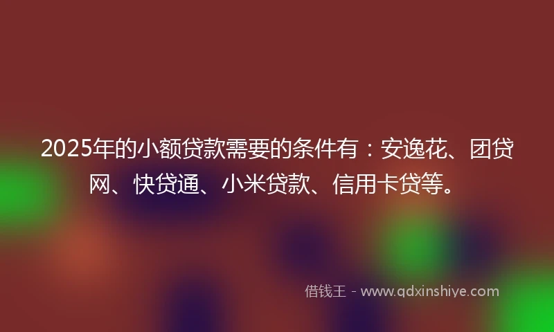 2025年的小额贷款需要的条件有：安逸花、团贷网、快贷通、小米贷款、信用卡贷等。