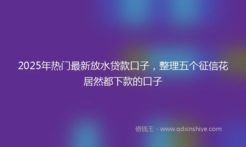 2025年热门最新放水贷款口子，整理五个征信花居然都下款的口子