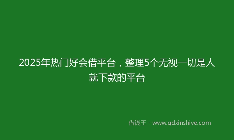 2025年热门好会借平台，整理5个无视一切是人就下款的平台